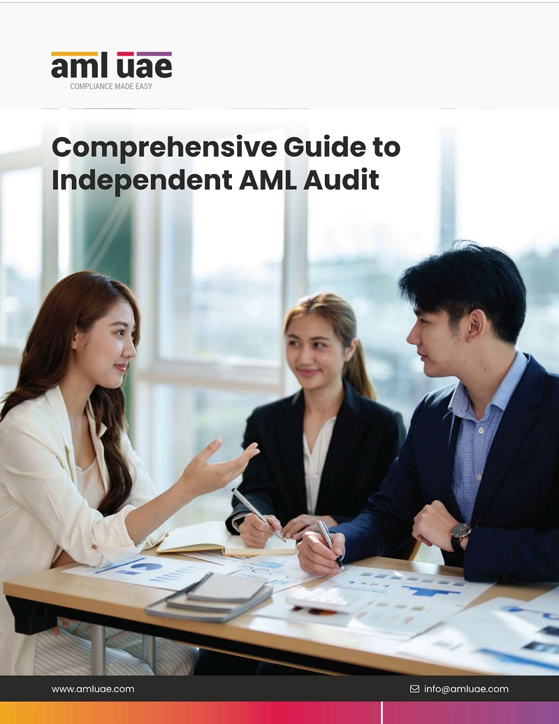 Independent AML Audit Guide